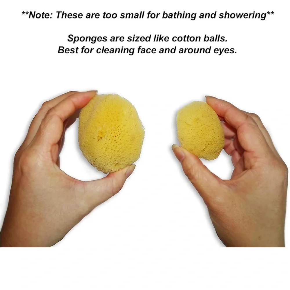 Natural Sea Sponges - Yellow